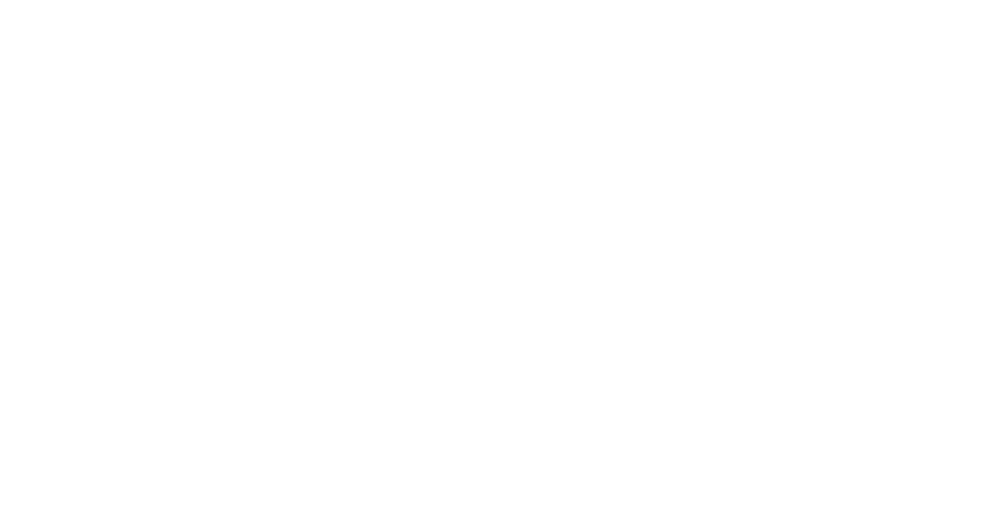Slan Finance